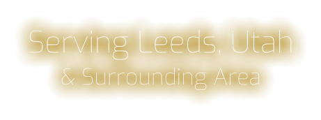 LEEDS UTAH - Directv, DISH Network, Cable Tv, Internet, Telephone, Home Security, Home Theater and HDTV