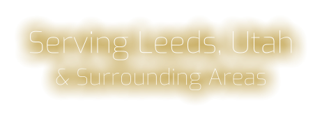 LEEDS UTAH - Directv, DISH Network, Cable Tv, Internet, Telephone, Home Security, Home Theater and HDTV